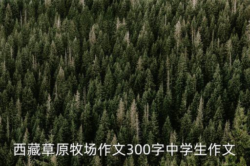 我的西藏，簡(jiǎn)介西藏的短文500字拜托啦速度