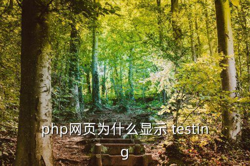 php網頁為什么顯示 testing