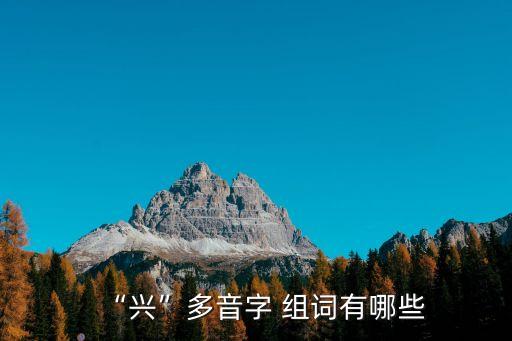 興多音字組詞,第一集:第二集:選區(qū)競選廣播