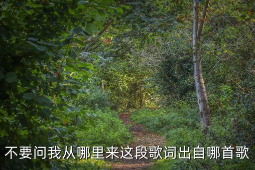 不要問我從那里來，不要問我從哪里來這段歌詞出自哪首歌