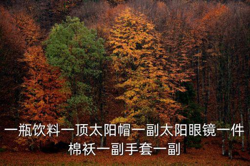 一瓶飲料一頂太陽帽一副太陽眼鏡一件棉襖一副手套一副