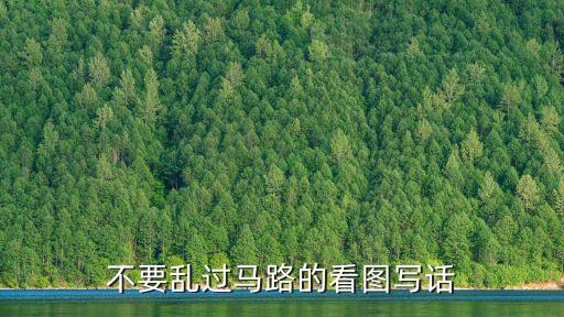 不要亂過馬路的看圖寫話