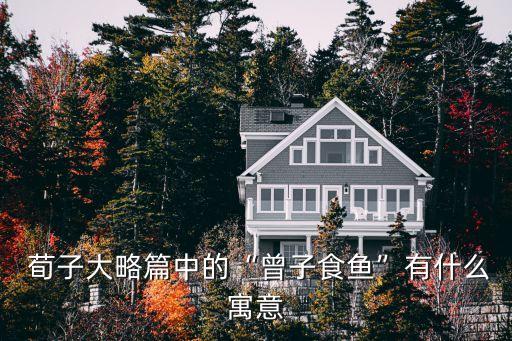 荀子大略,多么不忠啊!孔子吃不完的魚:是我疏忽了