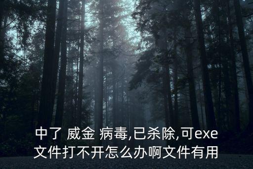 威金病毒,威金變體運行后會自動添加木馬下載器