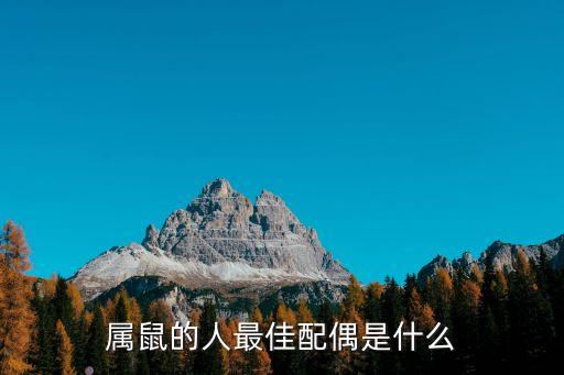 屬鼠的人最佳配偶是什么