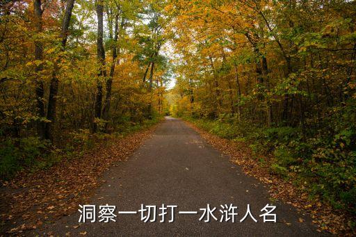 洞察一切打一水滸人名