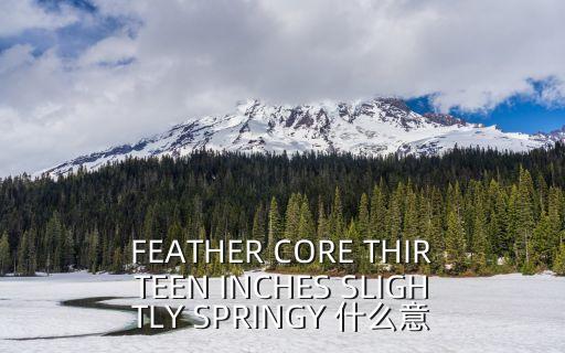 FEATHER CORE THIRTEEN INCHES SLIGHTLY SPRINGY 什么意