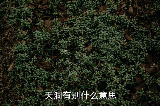  天洞有別什么意思