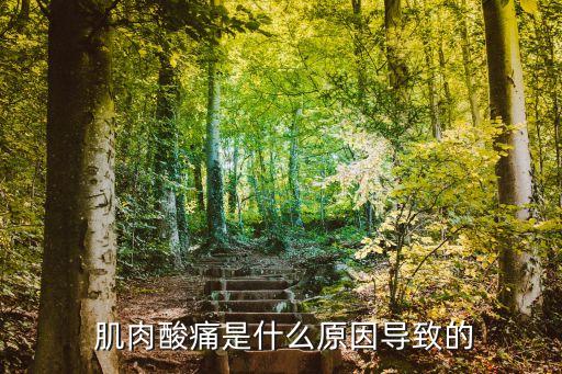  肌肉酸痛是什么原因?qū)е碌? class=
