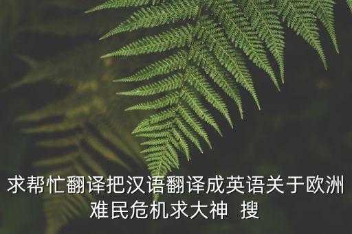 難民英文，求幫忙翻譯把漢語翻譯成英語關于歐洲難民危機求大神  搜