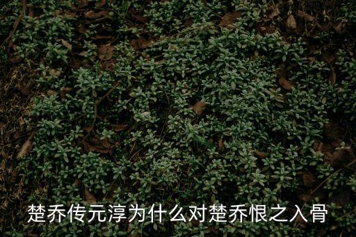 楚喬傳元淳，楚喬傳楚喬和元淳是什么關系 元淳是壞人嗎