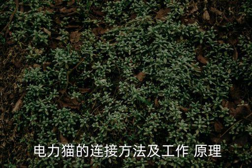 電力貓原理,電力要使用貓只需將rj45線連接路由器上