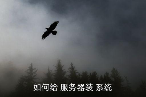 如何給 服務器裝 系統