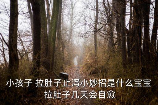 小孩子 拉肚子止瀉小妙招是什么寶寶 拉肚子幾天會自愈