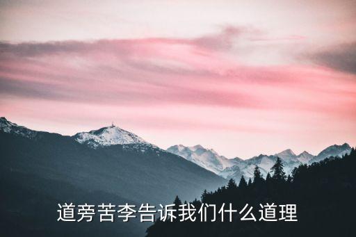 看道,七歲男孩認真分析事物表象不被表象所蒙蔽
