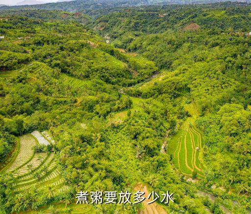 煮粥要放多少水，煮粥要放多少水