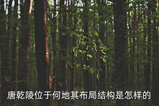 唐乾陵，唐乾陵在咸陽(yáng)那個(gè)縣