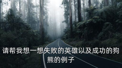 失敗的英雄，歷史上失敗的英雄