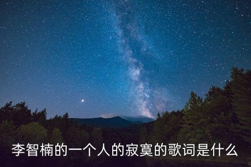李智楠的一個人的寂寞的歌詞是什么
