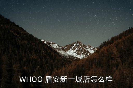WHOO 盾安新一城店怎么樣