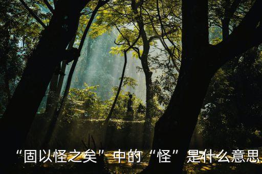 怪的意思,第二集:奇怪的人和奇怪事