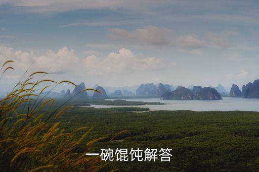 一碗餛飩解答