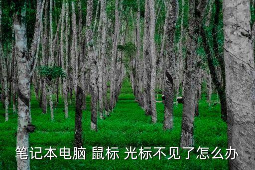 鼠標(biāo)光標(biāo),如何使用快捷通道鼠標(biāo)工作