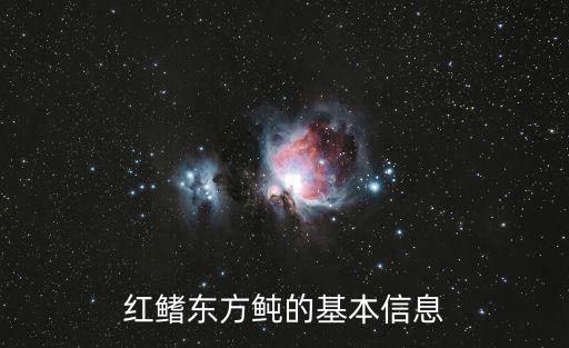 紅鰭東方鲀的基本信息