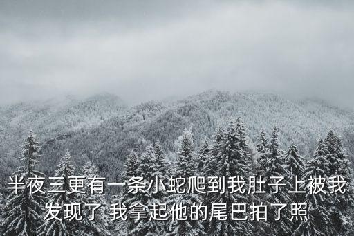 半夜三更有一條小蛇爬到我肚子上被我發現了 我拿起他的尾巴拍了照