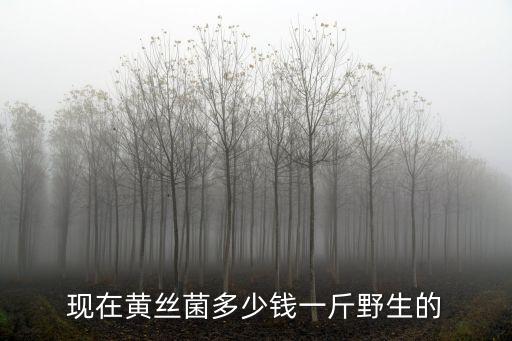 羊肚菌功效，羊肚菌有什么樣的藥用價值