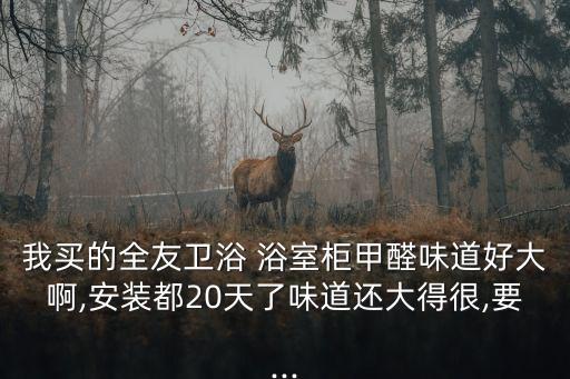 我買的全友衛浴 浴室柜甲醛味道好大啊,安裝都20天了味道還大得很,要...