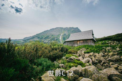 世爵C12