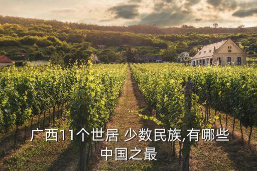 廣西少數(shù)民族,廣西是中國壯族人口最多省級行政區(qū)劃