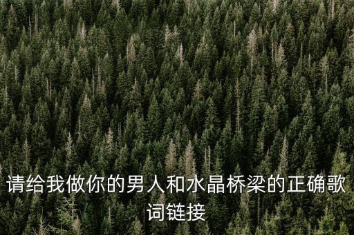 請(qǐng)給我做你的男人和水晶橋梁的正確歌詞鏈接