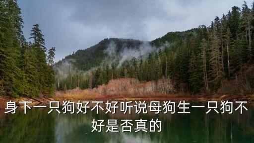 狗生，狗生什么
