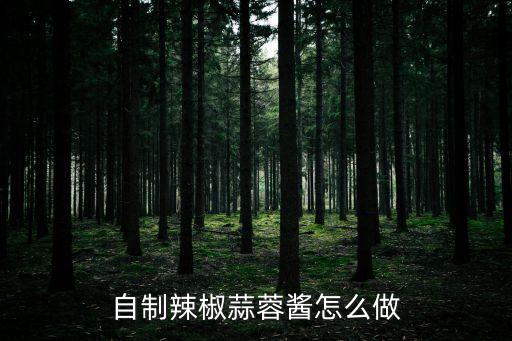 自制蒜蓉辣椒醬，自制辣椒蒜蓉醬怎么做