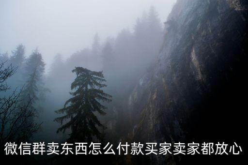 微信群賣東西怎么付款買家賣家都放心