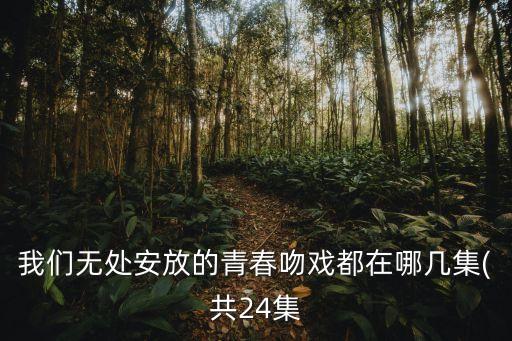 戴妍,《我們無處安放的青春》第二季25集第一季24集