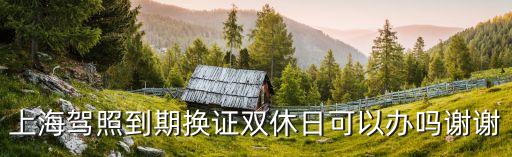 上海市車管所周六可以換駕照嗎，上海周六可以換駕照嗎