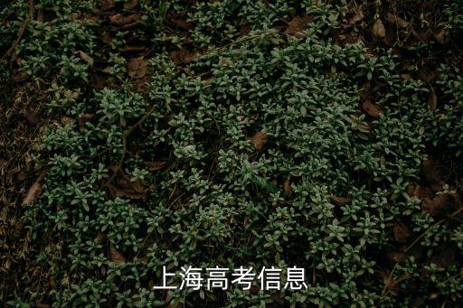 上海高考信息