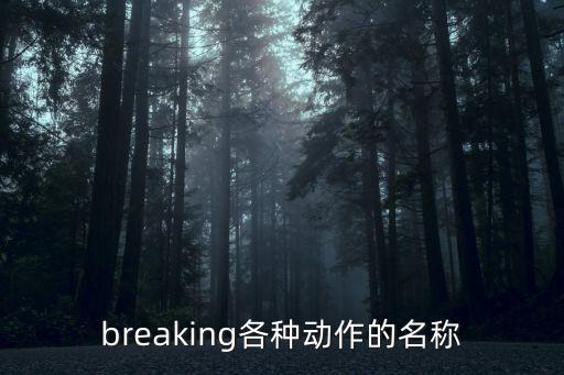 breaking各種動作的名稱