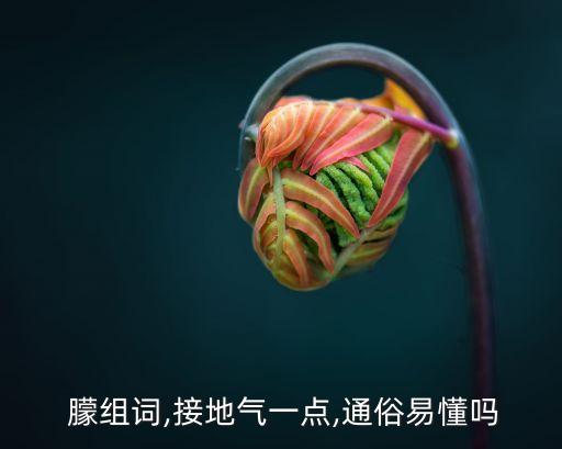  朦組詞,接地氣一點,通俗易懂嗎