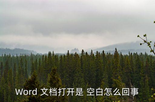 空白文檔,新建空白文檔打開頁面首兩次或是因為文檔損壞