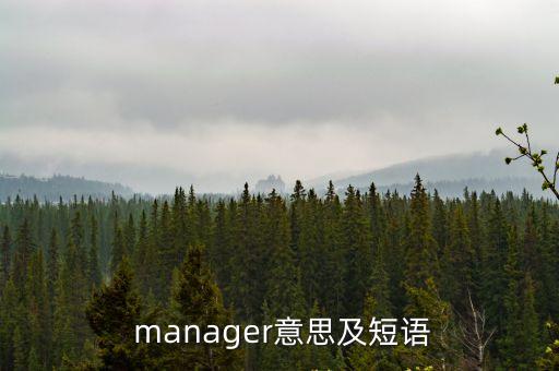  manager意思及短語
