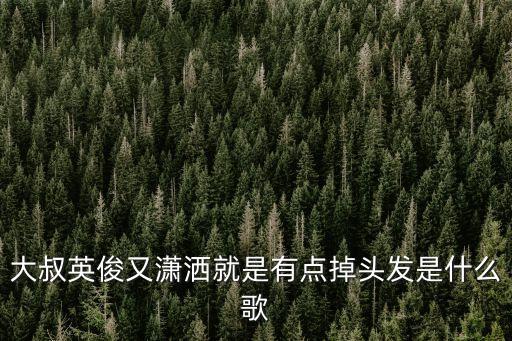 石頭歌手,中國男歌手石頭大叔
