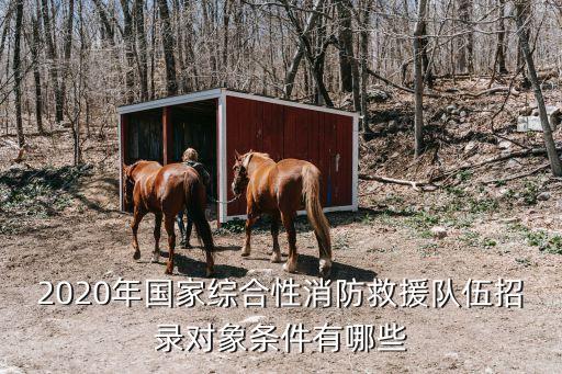 2020年國家綜合性消防救援隊伍招錄對象條件有哪些