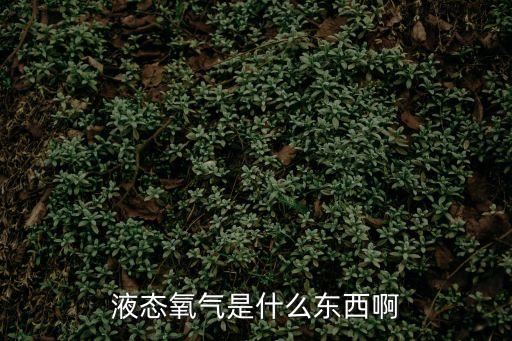 液態(tài)氧氣是什么東西啊
