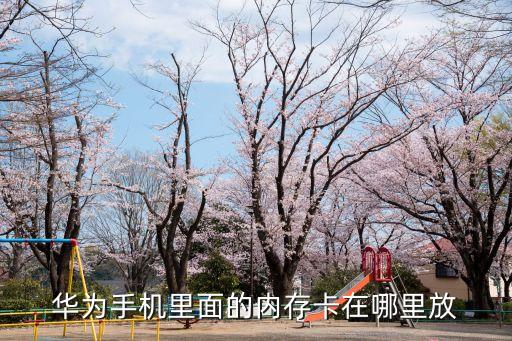 華為手機里面的內存卡在哪里放