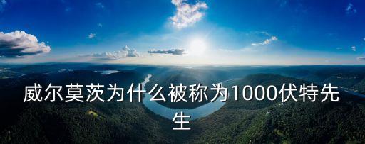 威爾莫茨，2002世界杯決賽那腳倒鉤是誰射的