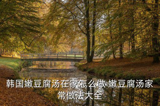 嫩豆腐湯的做法，辣味嫩豆腐湯的用料做法是什么